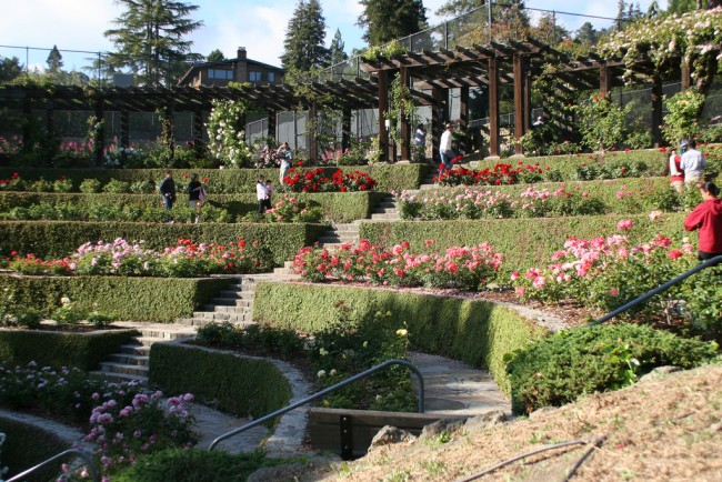 The Most Beautiful Flower Gardens In San Francisco