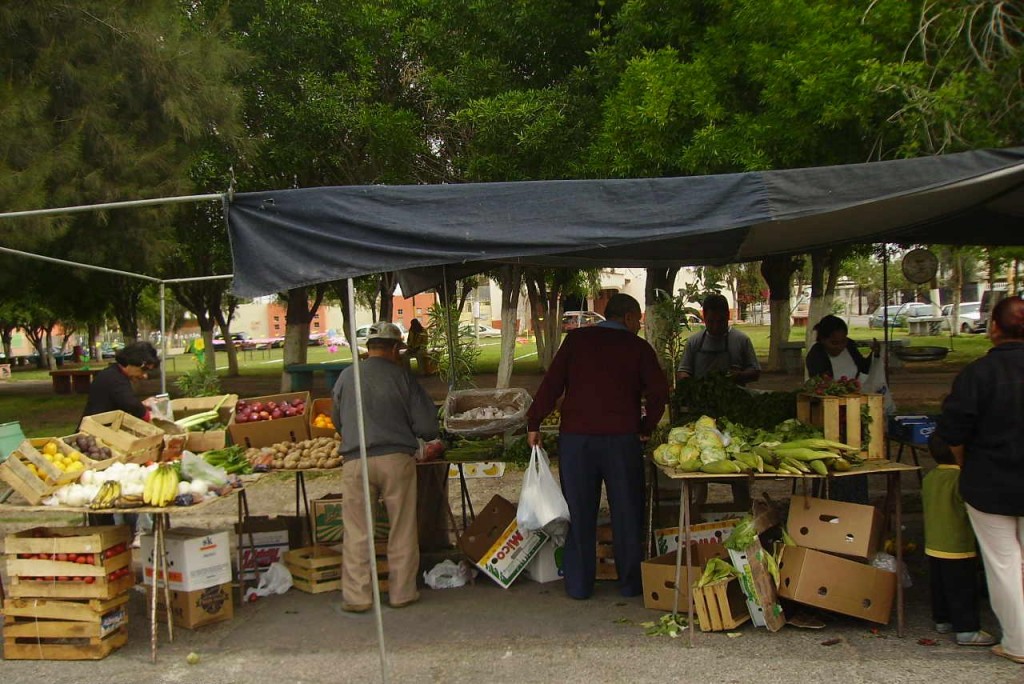 Tianguis and Farmers Markets вЂ“ Explore Nayarit