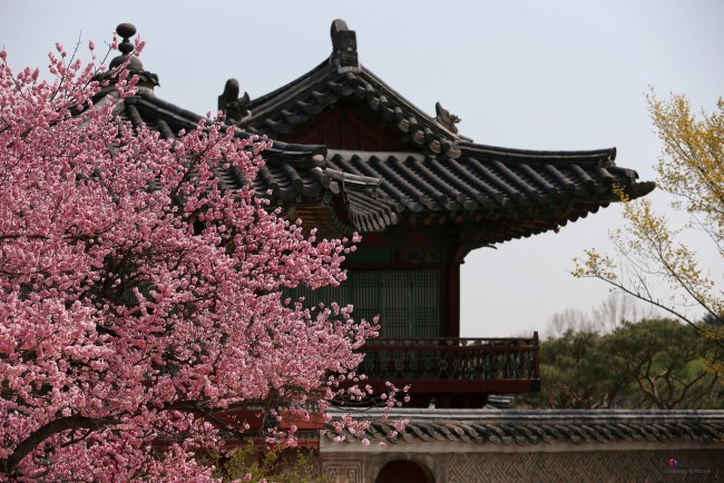 Changdeokgung Palace | ©Republic of Korea/Flickr
