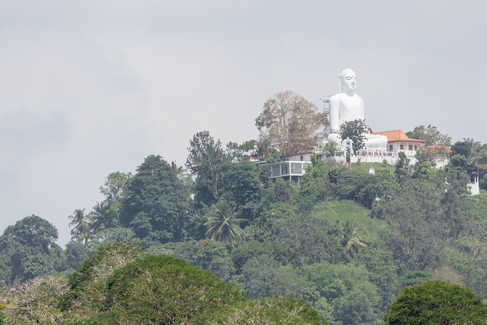 Top 10 Things To Do In Kandy Sri Lanka