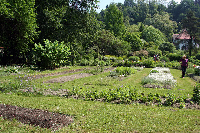 Ljubljana Botanic Garden | © Yerpo/WikiCommons