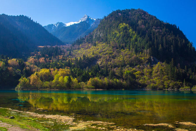 Five Flower Lake, Jiuzhaigou Valley | © Jean-Marie Hullot