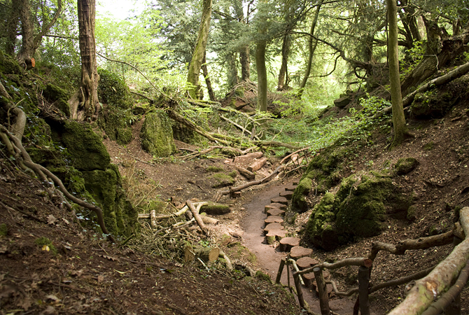 Puzzlewood | © George Boyce, Flickr