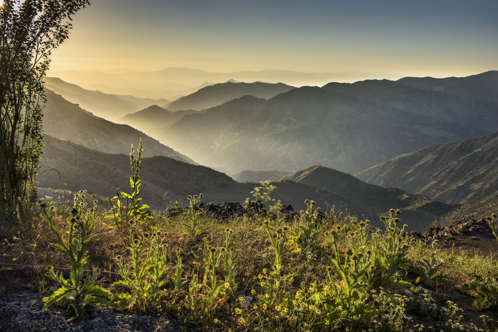 Natural Treasure in Santiago © Max Besser Jirkal / Flickr 