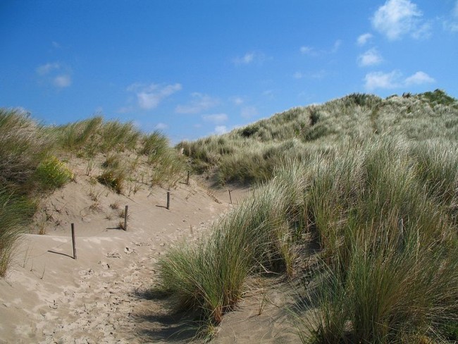 The Ter Yde dunes | © Marc Ryckaert/WikiCommons