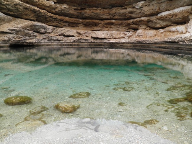 natural pool