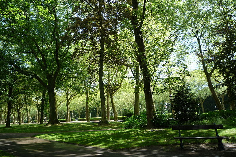 Arbres au Parc Elisabeth de Bruxelles|© Soboky/Wiki Commons