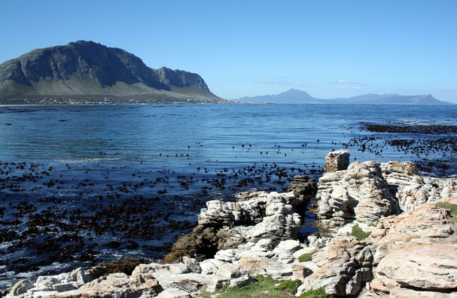 Betty’s Bay | © Winstonza/WikiCommons