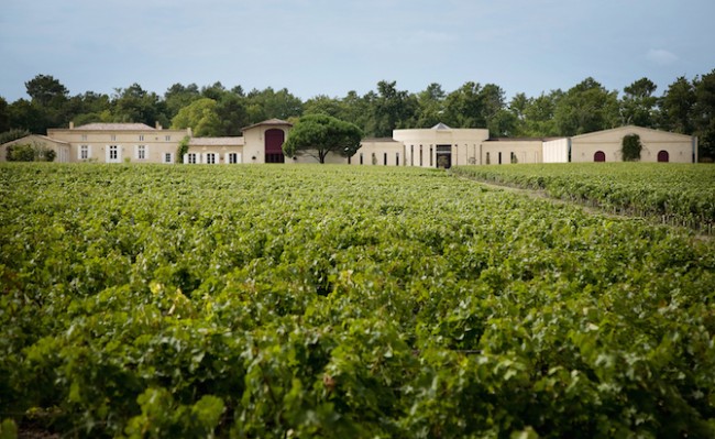 Domaine de Chevalier | © Courtesy of Domaine de Chevalier