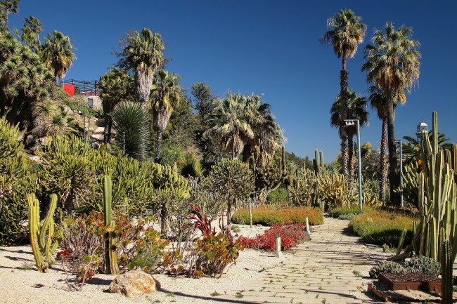 Jardins de Mossèn Costa i Llobera| © Jorge Franganillo / Flickr