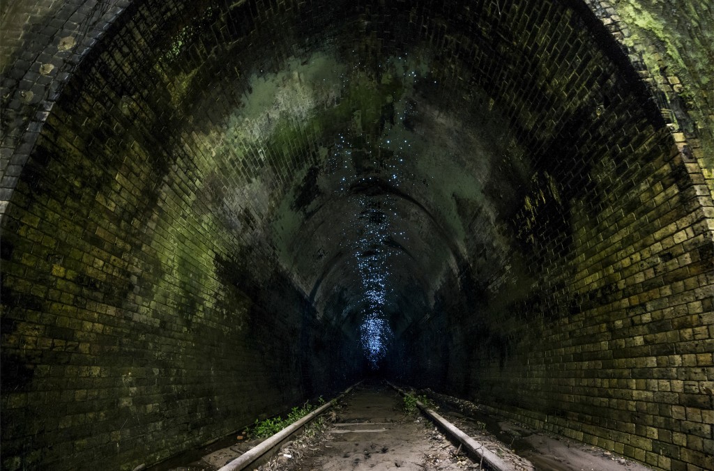 Glow Worm Tunnel ©Christian Reusch 