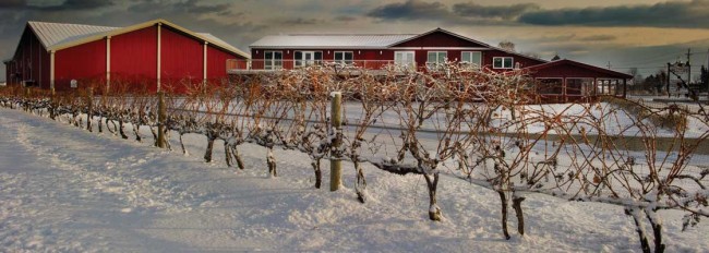 Winter at Pillitteri | Courtesy of Pillitteri Estates Winery