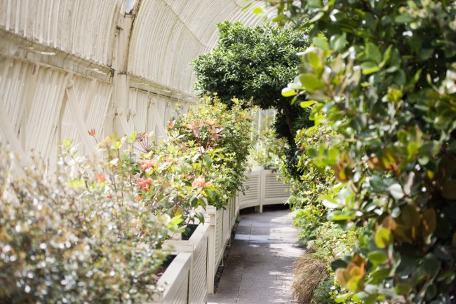 Botanic Gardens- Dublin | © William Murphy / Flickr
