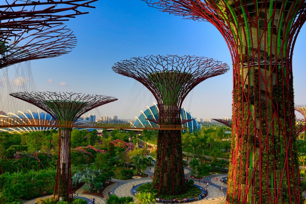 OCBC Skyway, Supertree Grove, Singapore | Courtesy Gardens by the Bay