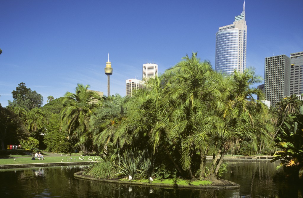 Royal Botanic Gardens with Sydney city buildings in background | Courtesy of Destination NSW