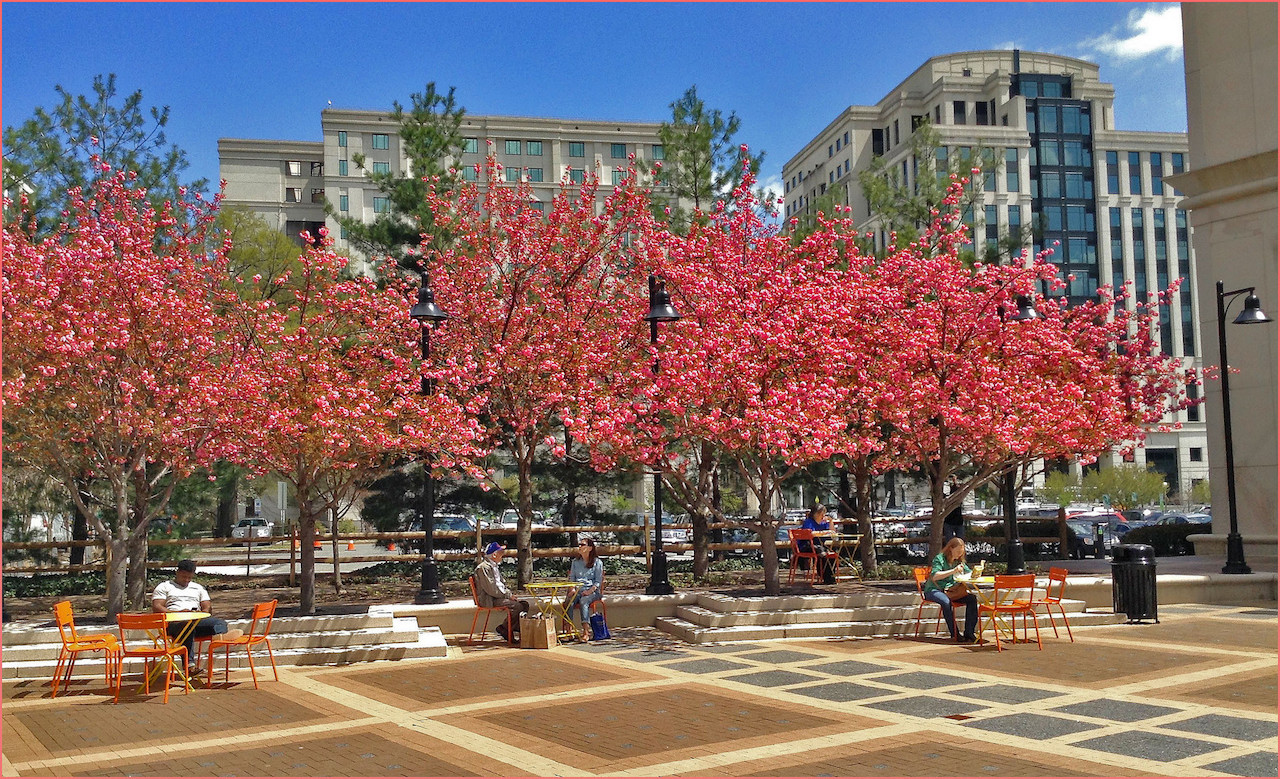 Lunch Time -- Courthouse Plaza Arlington (VA) Spring 2015 | © Ron Cogswell/Flickr