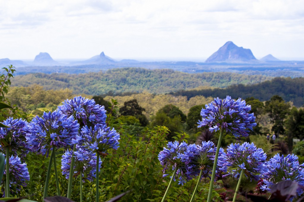 Glass House Mountains from Maleny Botanic Gardens | © Andy Hay / Flickr