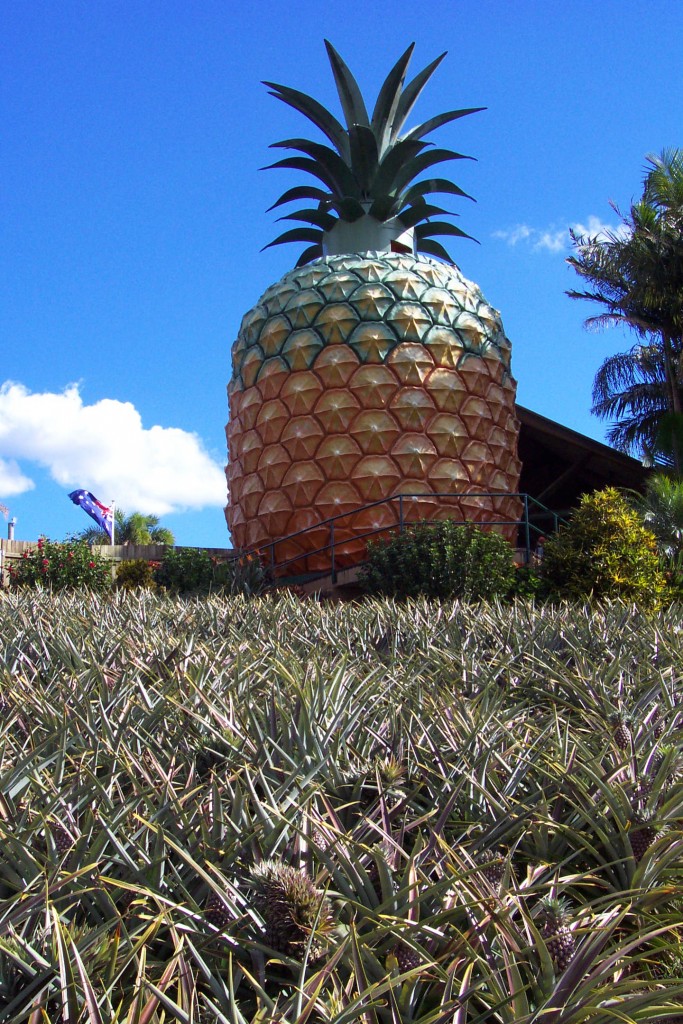 The Big Pineapple | © Stonestreet's Coaches - The Extra Mile / Flickr