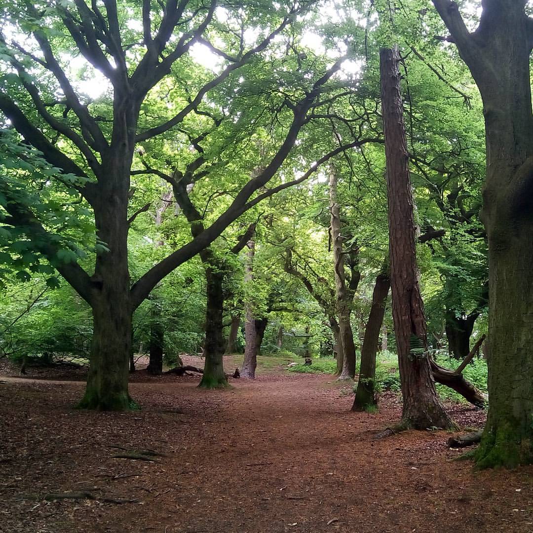 Corstorphine Hill Walk Map The Most Scenic Walks To Take In Edinburgh