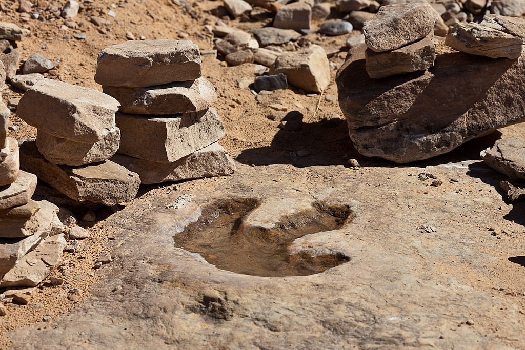 Dinosaur footprint | © Greg Willis/WikiCommons