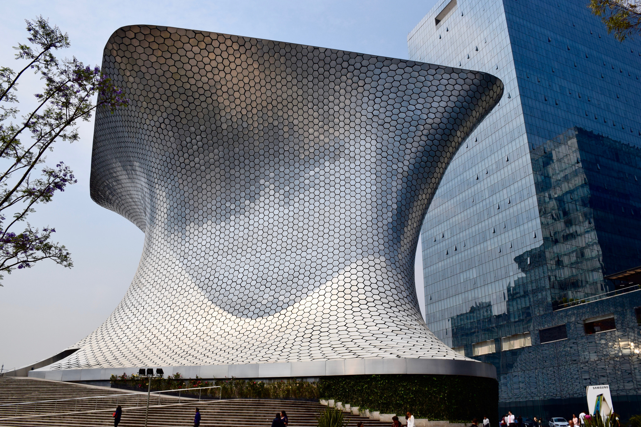 Image result for soumaya roma