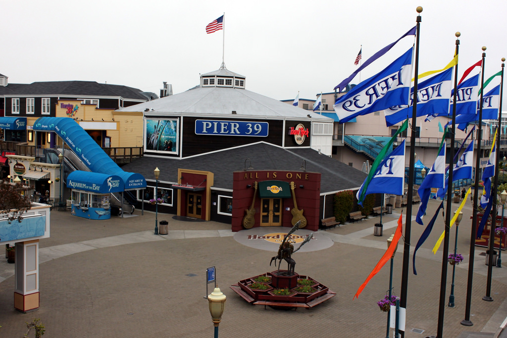 A Brief History Of Pier 39 Home To San Francisco S Sea Lions