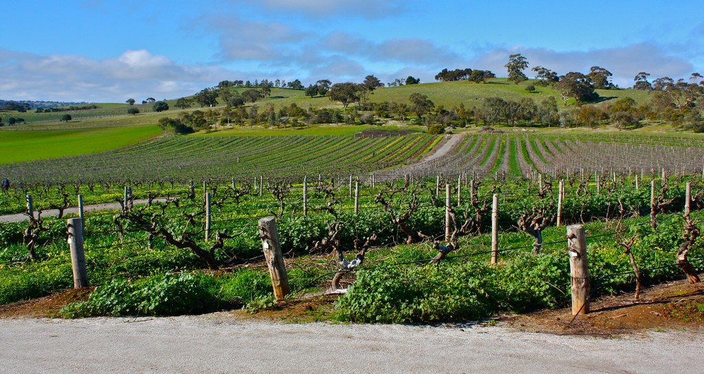 The Barossa Valley - 10 © Kyle Taylor/Flickr 