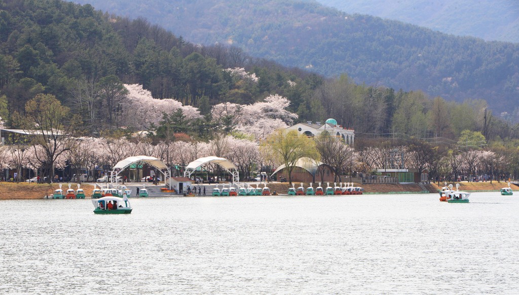 Suseong Lake in spring | © Suseong-gu / Flickr