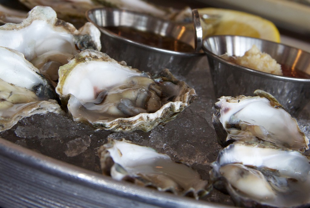 Raw Oysters | © Massachusetts Office of Travel and Tourism / Flickr