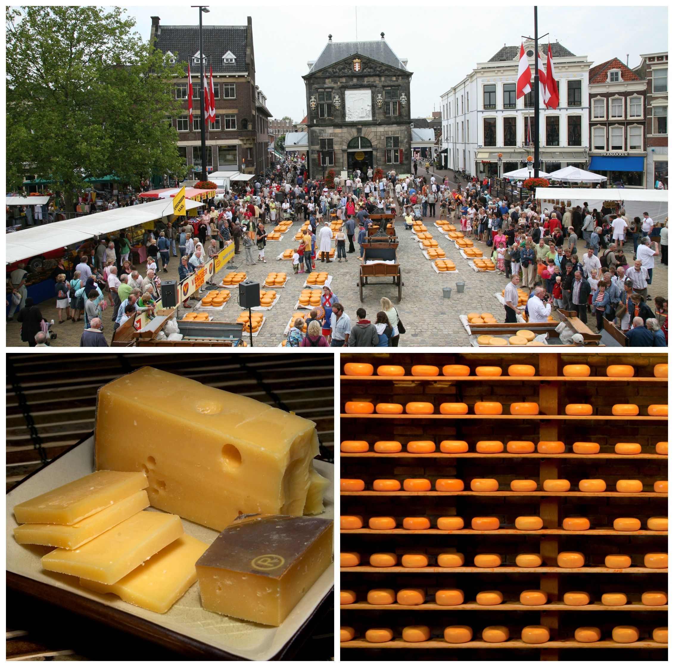 A Brief History Of Gouda Cheese