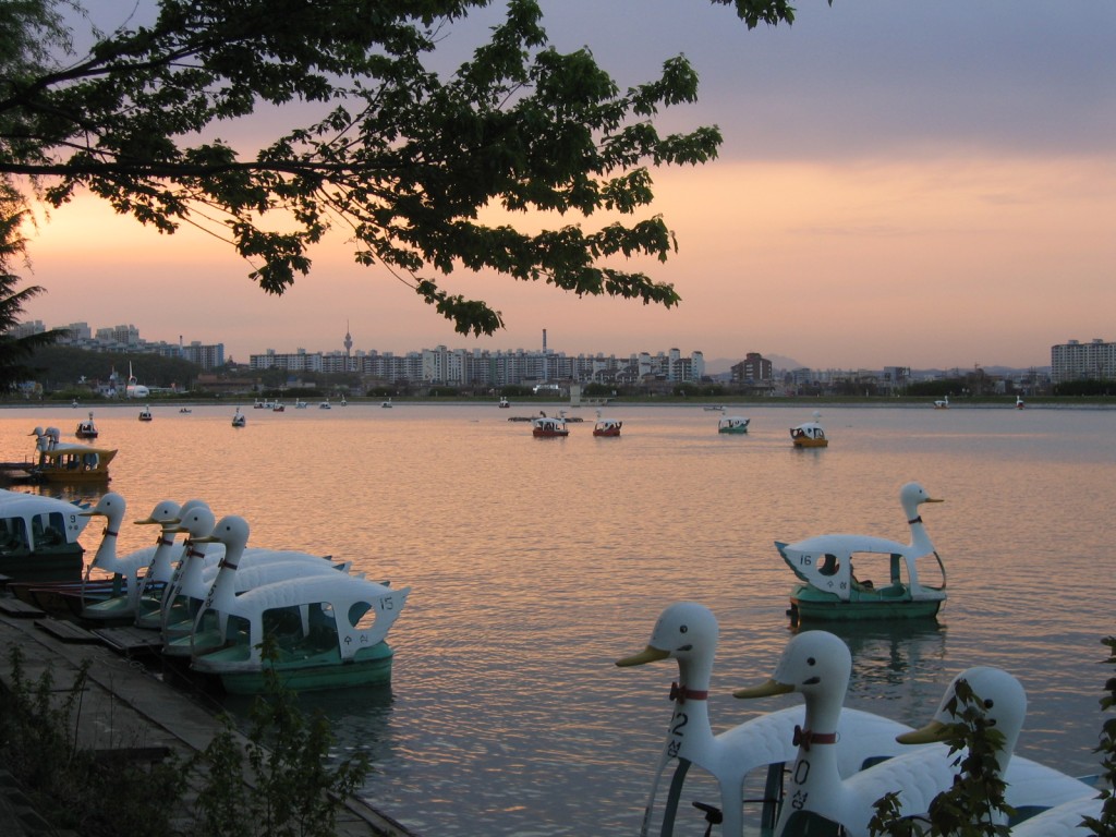 Paddle ducks on Suseong Lake | © Thorfinn Stainforth