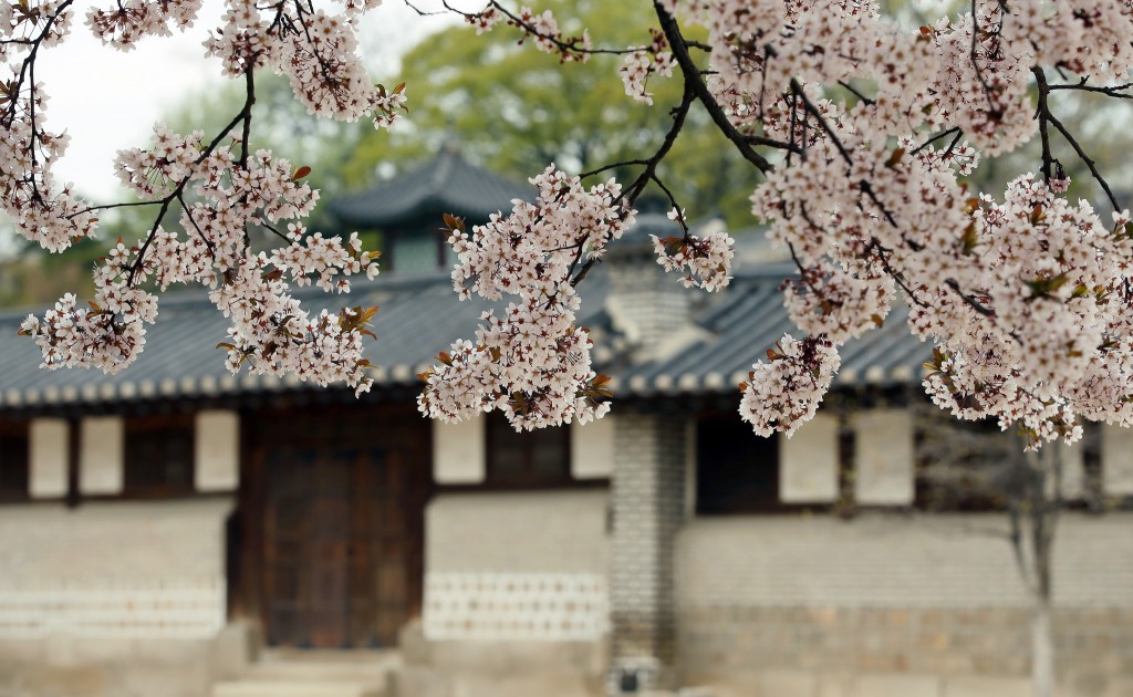 Spring at Changdeok Palace, Seoul | © KoreaNet / Flickr