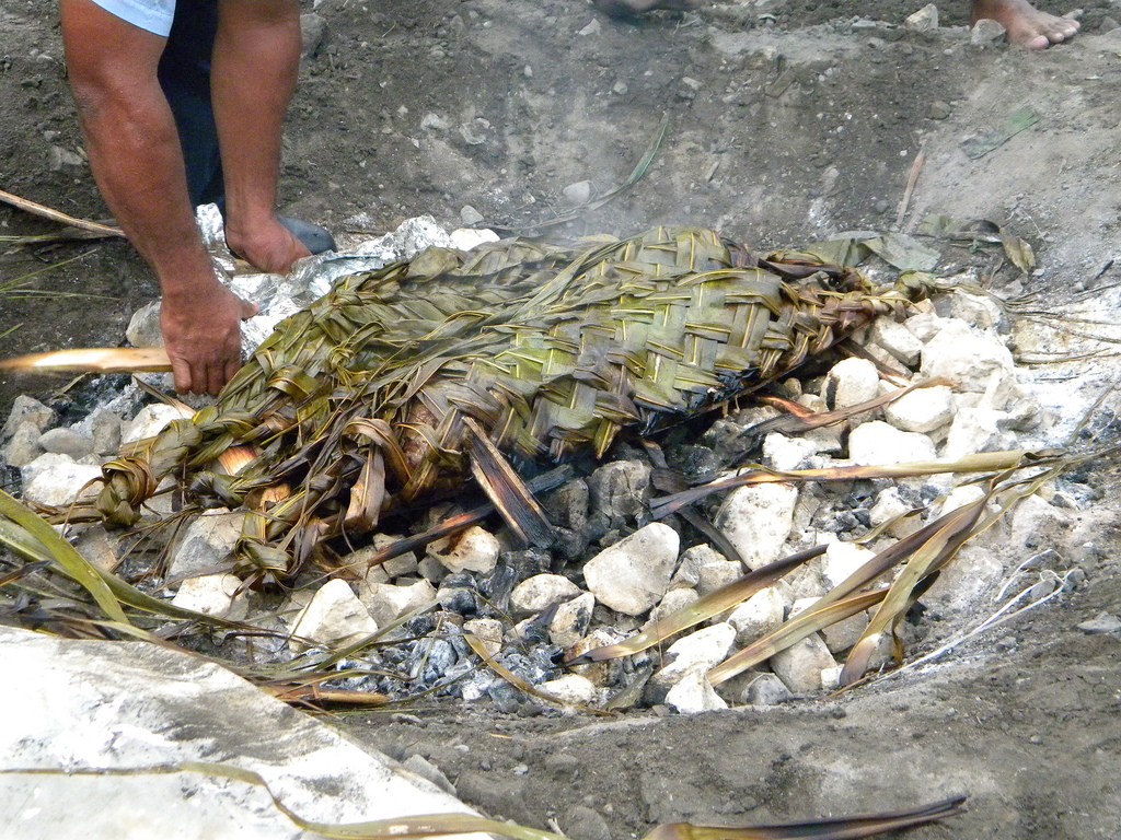 Fijian Lovo | © LynneS / Flickr