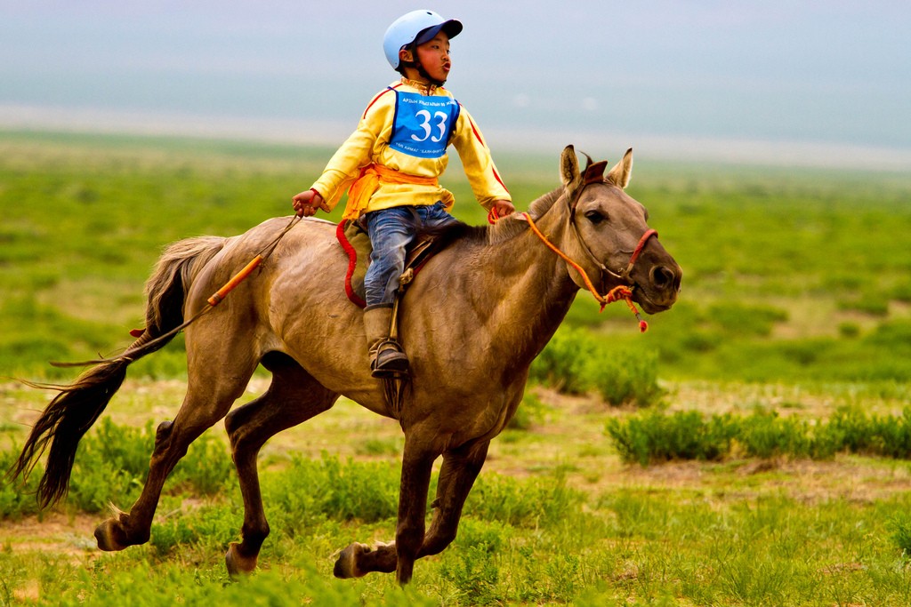 Naadam Horse Race| © Paulo Fassina/Flickr