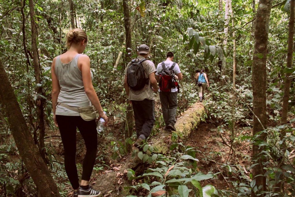 Madidi jungle trek | © Jonathan Hood/Flickr