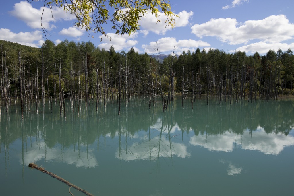 Blue Pond | ©ray.k / Flickr