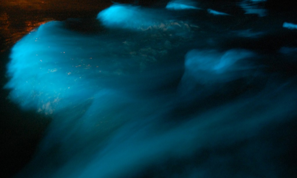 Glistening Waters' Luminous Lagoon | Courtesy of Glistening Waters Hotel & Marina 