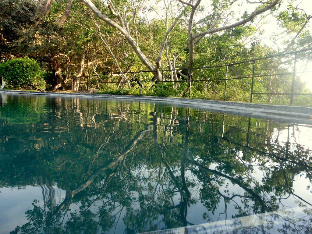 The natural pool at Heritance Kandalama with an amazing view. |© Avindi Perera