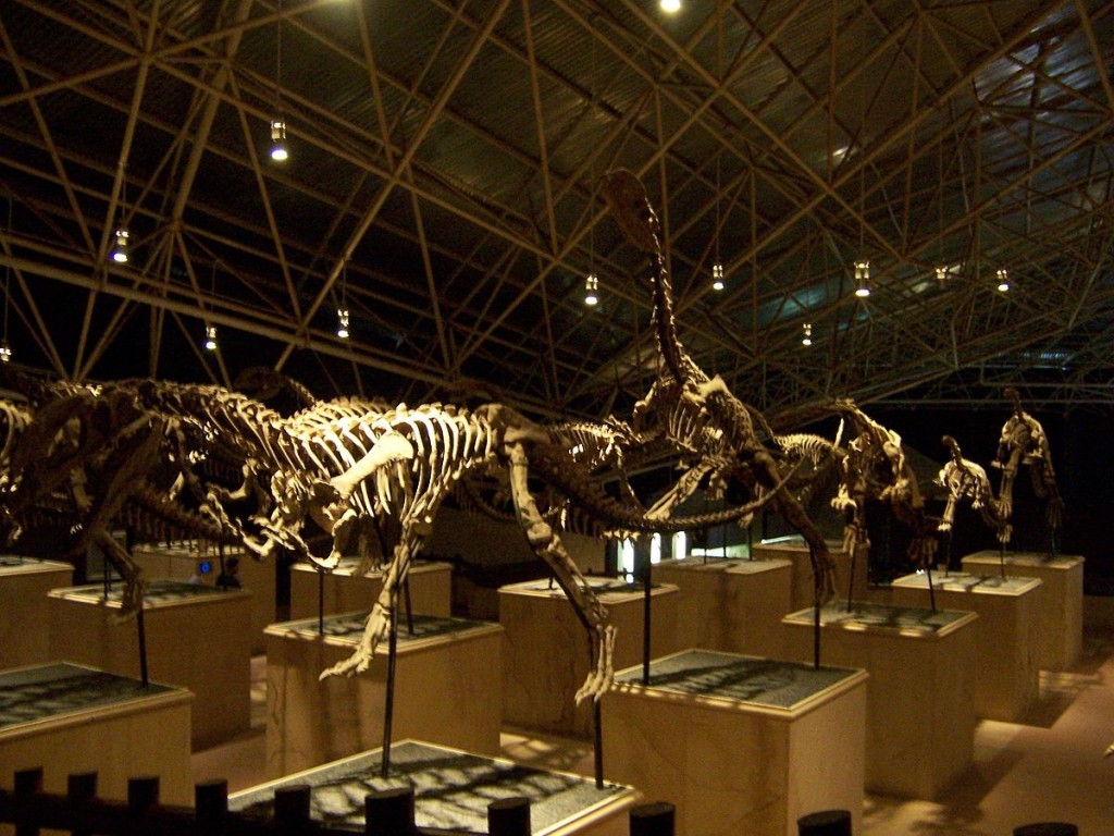 恐龙部队1|©zhanyoun/Wikimedia Commons
