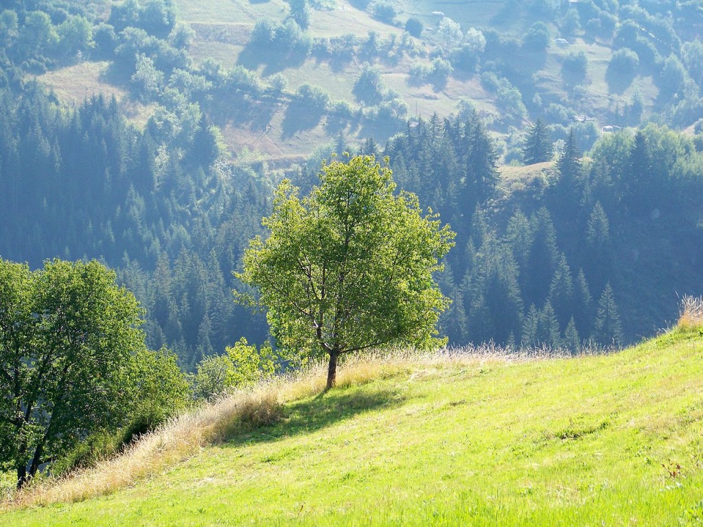 Gela Village | © www.vacacionesbulgaria.com/WikiCommons