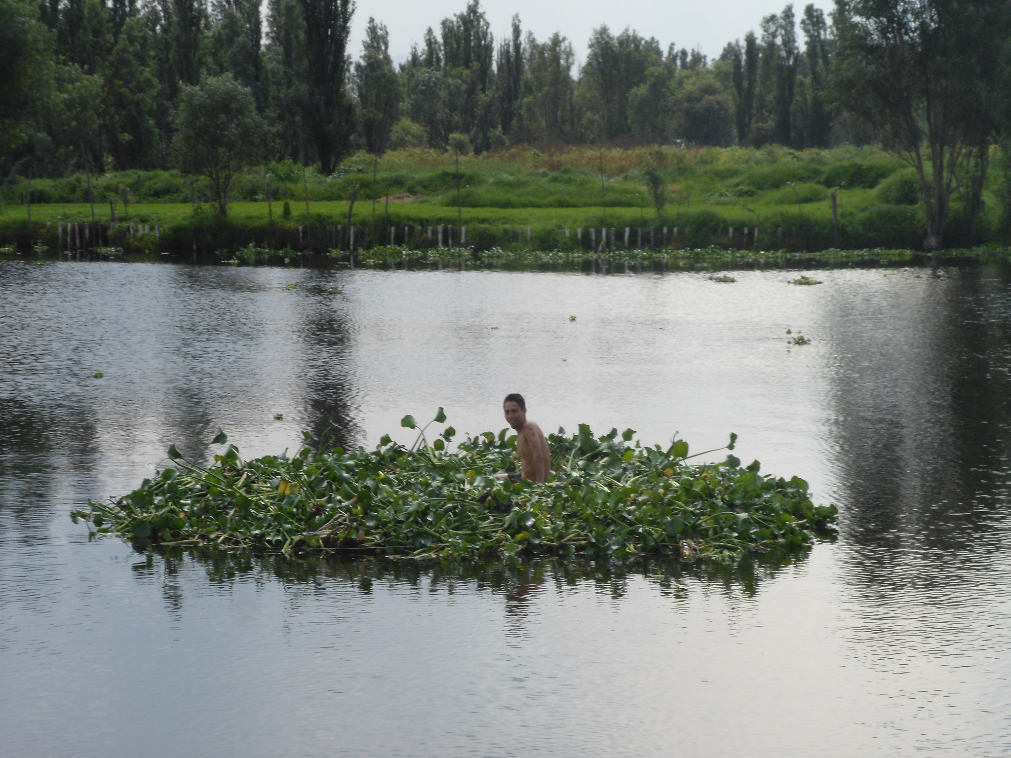 8 Reasons Why You Need To Visit The Floating Gardens Of Xochimilco