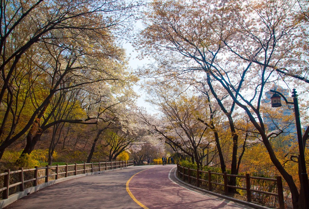 Namsan Park in fall | © Jordi Sanchez Teruel / Flickr