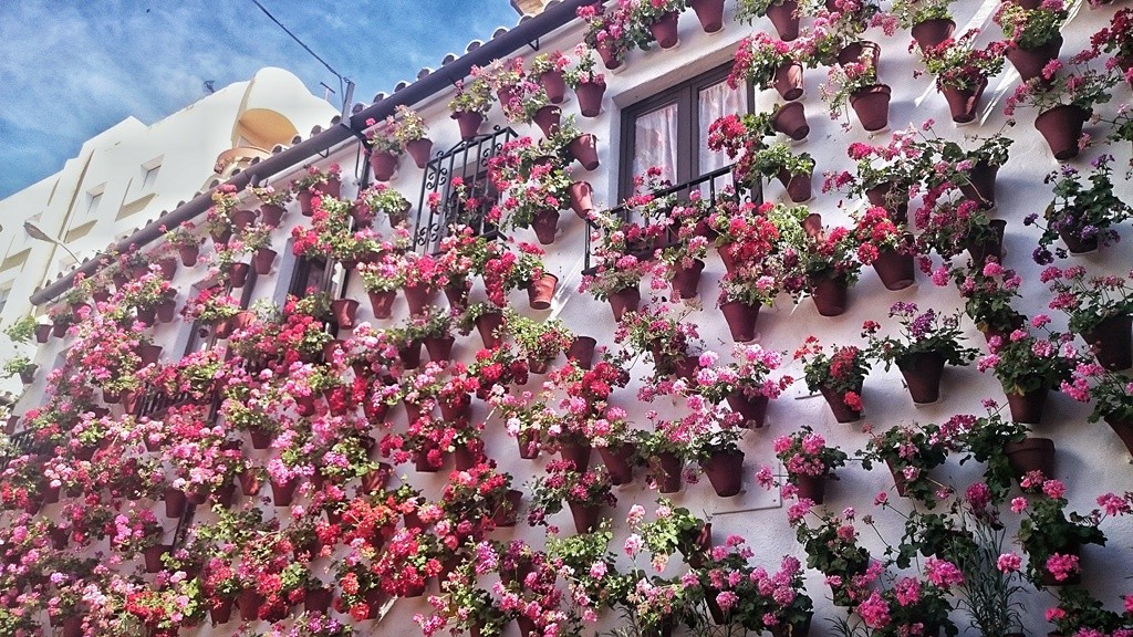 A patio in Córdoba, Spain | © Lori Zaino