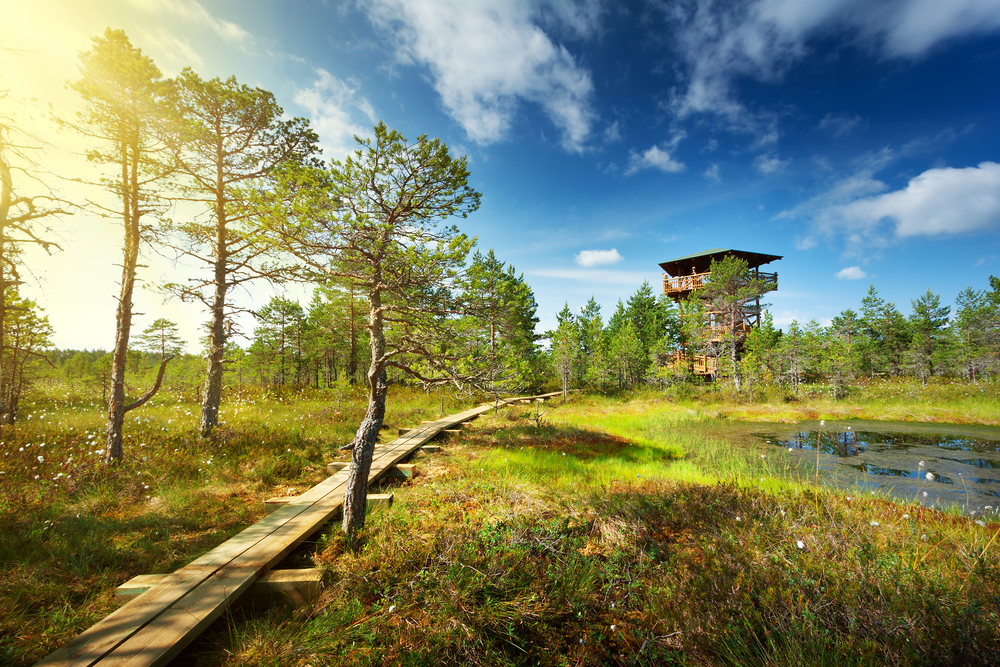 24 Pictures That Will Make You Fall in Love Estonia's National Parks