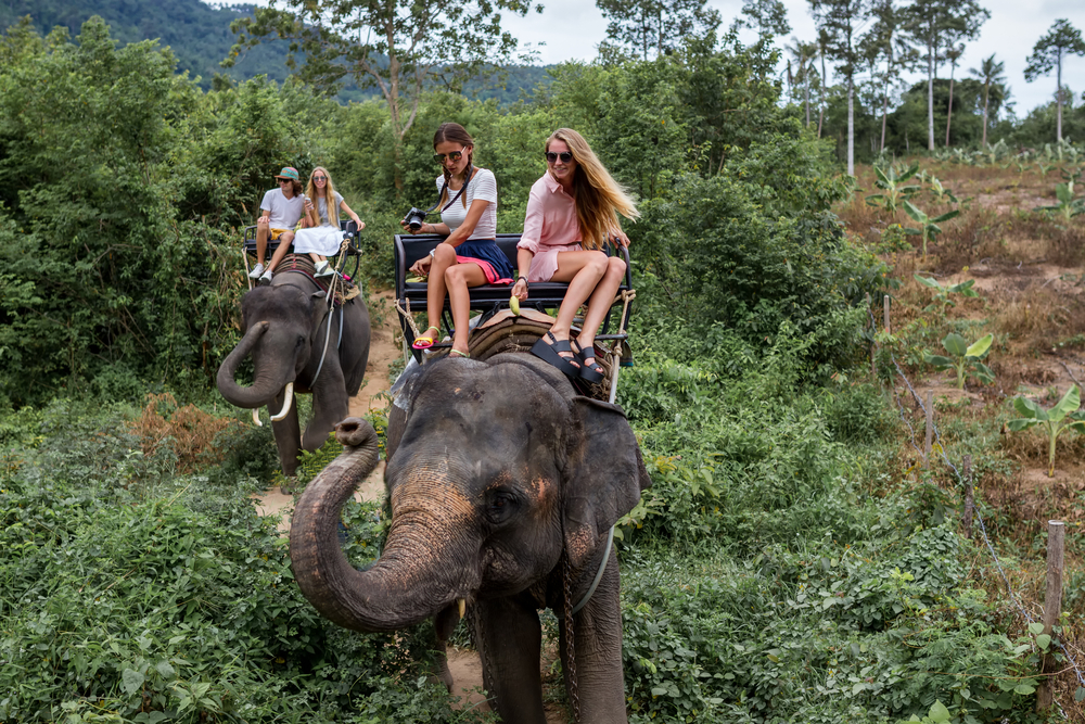 Why You Should Think Twice Before Riding An Elephant