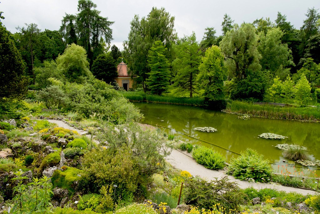 Alpine Garden at the Botanischer Garden © Ben Garrett