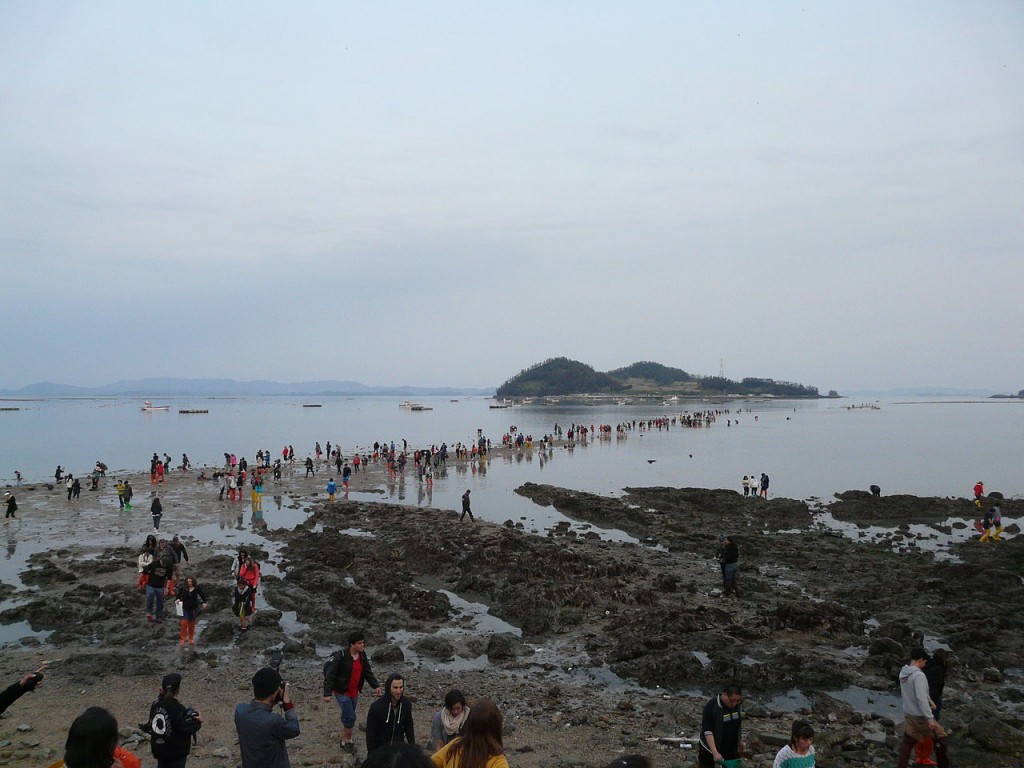 Jindo Miracle Sea Road Festival | © Piotrus