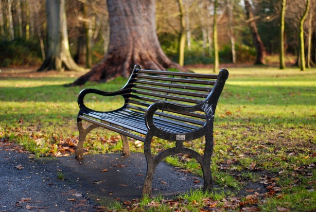 Park Bench at Ormeau Park | © Donna/ Flickr