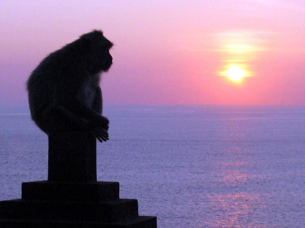 Sunset at Uluwatu Temple with monkeys | © Sue Waters/Flickr