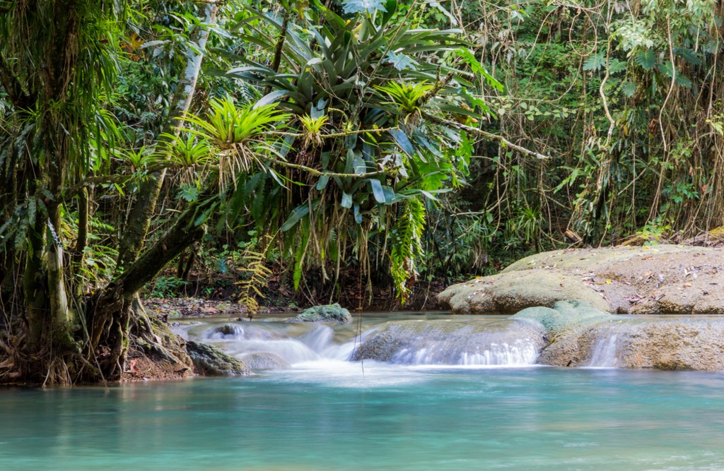 Y.S. Falls, Jamaica | © Sherry Talbot/Shutterstock 